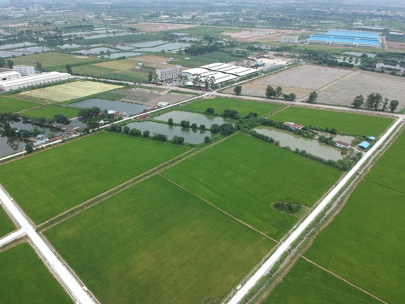 博羅縣石灣鎮鐵場村、白沙村現有耕地提質改造項目